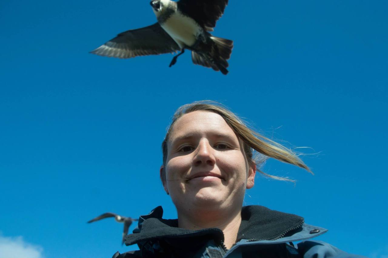 Today on fieldwork selfies: some pomarine jaegerbombs