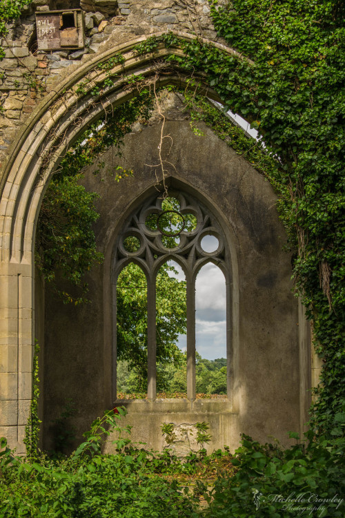 medieval-woman: Killaloan Church -Tipperary by michelle crowley