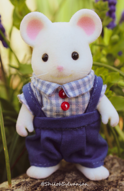 shiloh-sylvanian:There’s a new mouse in town! Rumor has it he’s a paranormal investigato