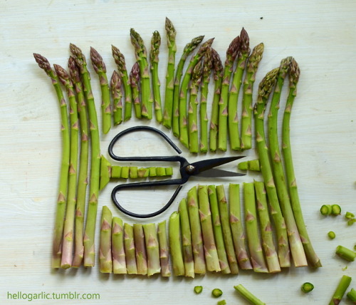 hello asparagus study!