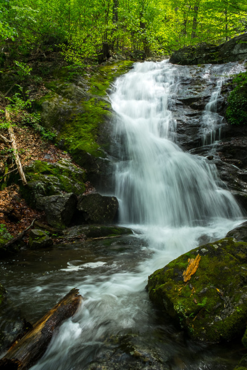 Little Cascade at Crabtree Falls by Daniel Feivor