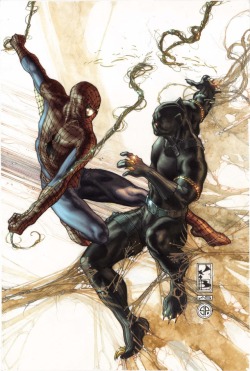 westcoastavengers:  Spider-Man Vs Black Panther