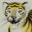paperbacktiger