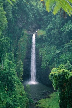 n-c-x:  dioxigeno:  Sopoaga Falls  nature blog