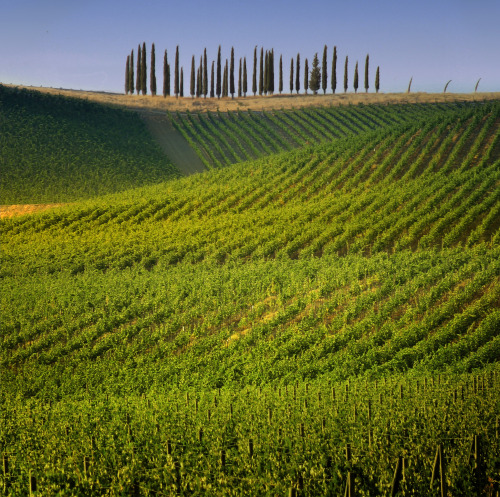 welcometoitalia:Toscana. Chianti is a red Italian wine produced in Tuscany. The first definition of