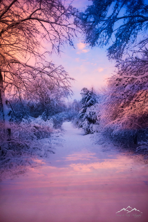 visionsandvistas:Evening Glow - Chicago