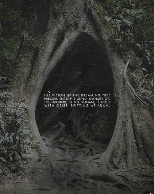 arslanaltans-archive-blog: that wasn’t going to happen now. he’d changed his future. he’d chosen a different way.