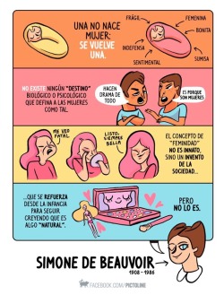 feministvs-m0dernvs:Me encanto esta ilustracion en recuerdo a simone 💗