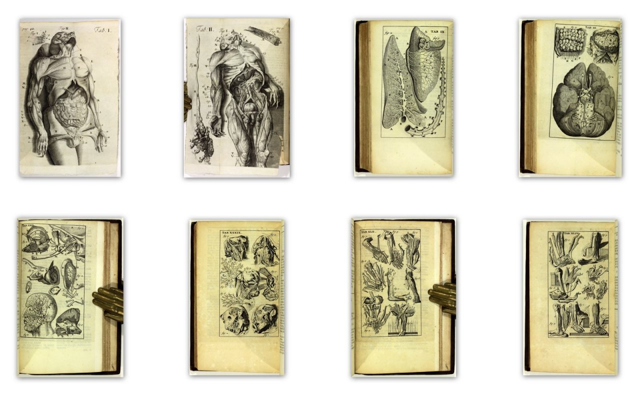 michaelmoonsbookshop:Early 18th Century AnatomyJAMES DRAKEAnthropologia nova; or