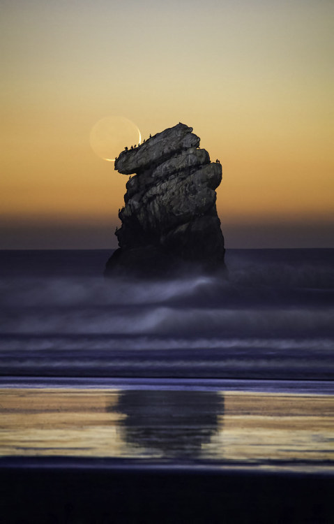 Cormorant Crescent by Omnitrigger Exposure blend. Fast shutter moon, lazy shutter FG waves. 2 second