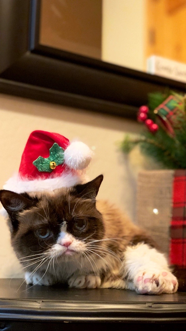Worst Christmas Ever