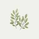 my-herbarium avatar