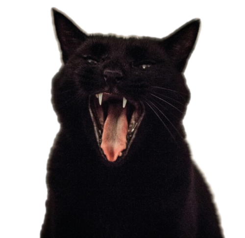 trashfirefallon:more transparent screaming cats