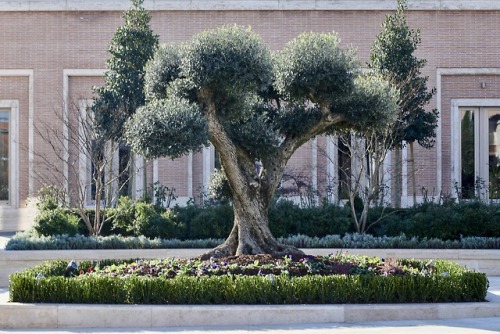 Rome Italy Temple | Visitor’s Center and Gardens