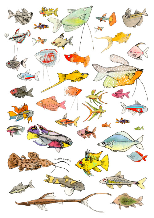 uncommon-etc:  I’ve been working on some easy-to-keep community species for a magazine project