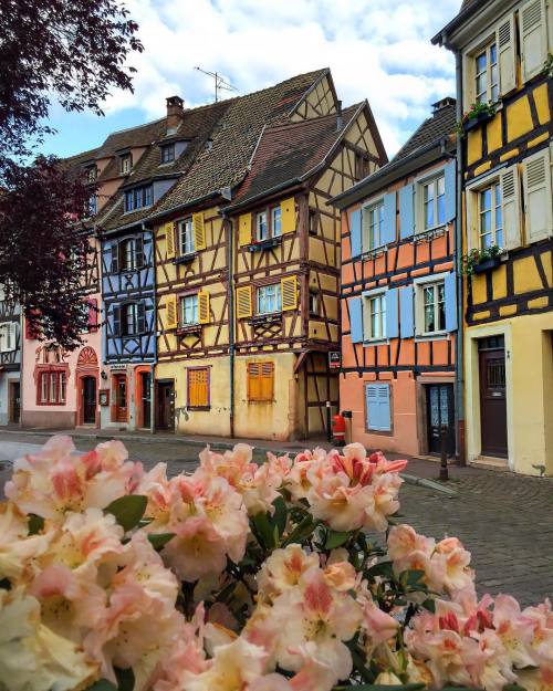 maureen2musings:  Colmar, Alsace, Francemehmetsert