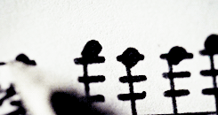shoother:“Cracks are not always weaknesses. A life lived accrues in the cracks.”