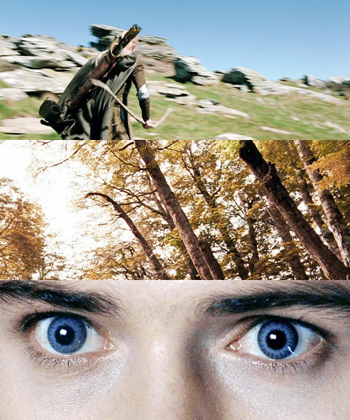    LOTR Meme: eight characters → Legolas Greenleaf (1/8)   &ldquo;He was tall
