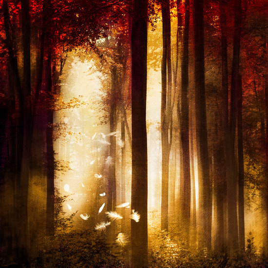 bestof-society6:  ART PRINTS BY VIVIANA GONZALEZAutumn Song.. Red feather dance Faith