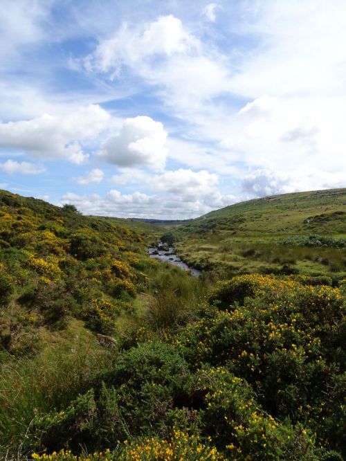 Dartmoor, UKJuly 2018