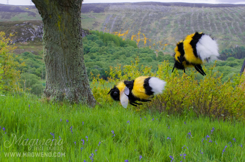 sanageyamaa: babytarantula: magweno: GIANT PET BEES NOW AVAILABLE!www.etsy.com/uk/listing/23