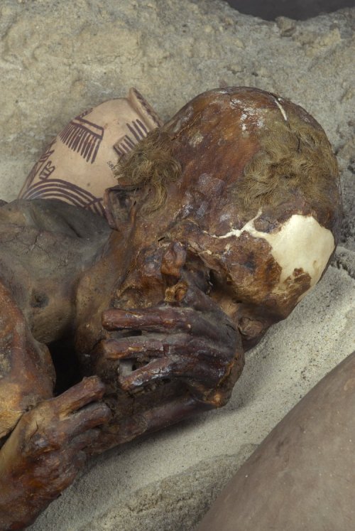 ~ Predynastic Egyptian Man.