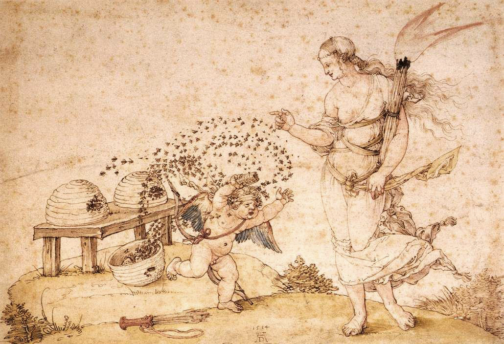 drakontomalloi:  Albrecht Dürer - Cupid the Honey Thief. 1514