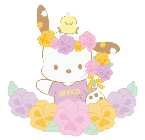 Sanrio Characters Flower 2022