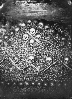 sellyourseconds:  The Catacombs of Paris