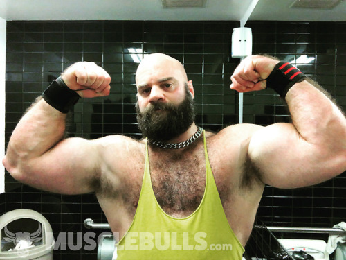Who Wants To See More Of This Muscle Bull??