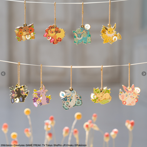 Pokemon “Eeveelution & Floral Candy” Ichiban Kuji April 2020Tickets sold for about 650 yenPrize 