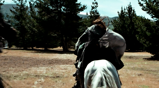 39d7be969cc14dd66d0f97b3d3104363219ded2f.gif