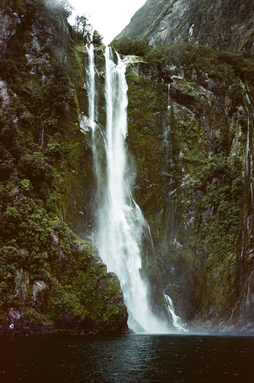 Milford Sound, NZ