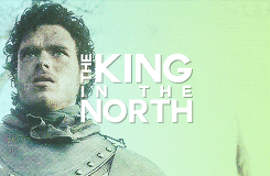 jesseplnkman:  The Seven Kingdoms are at war with one another… false kings destroying