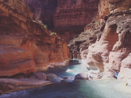 Where the waters of Havasupai meet the Colorado River