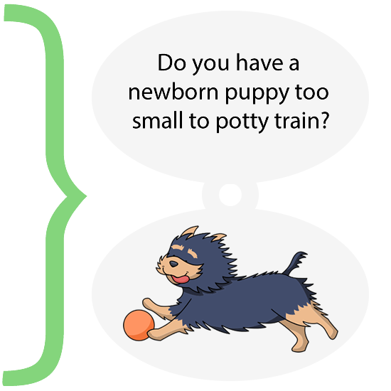 Dog or Dog — How to Potty Train your Puppy and Mistakes we make