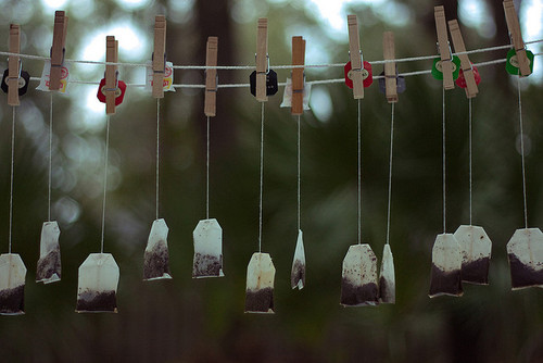 the-girl-who-exterminated:why the fuck did they put tea bags on a clothesline 