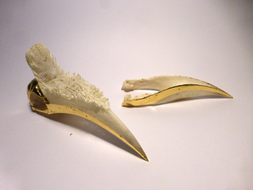 2018 -Neushoornvogel (hornbill)23,75 karaat - rosenobel dubbelgoud, los - verguld op oliebasis