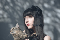 maysakaali: The Lady and her Cat • Photography: fanored • Model: maysakaali 