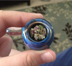 kiraakitten:  Bowl of some purps.