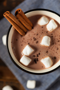 delectabledelight:   Gourmet Hot Chocolate
