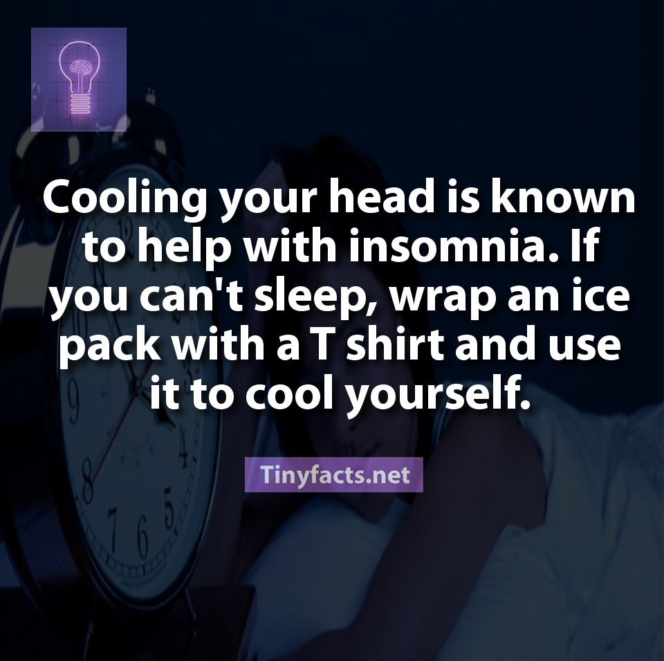 More at: Tinyfact’s Facebook | Youtube | Instagram