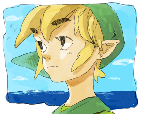 zelda wind waker