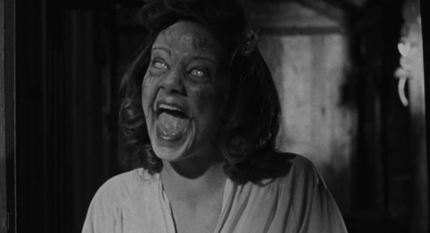 um-this-is-awkward:  The Evil Dead (1981) 