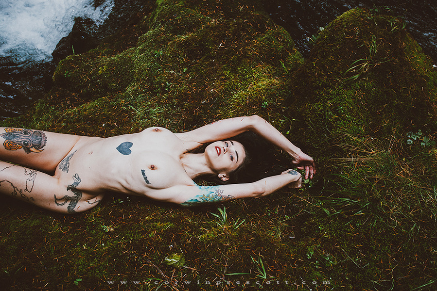 corwinprescott:    “Into the Wild”Gifford Pinchot National Forest, Wa 2014Corwin