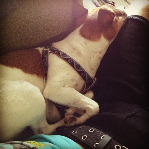 a-little-insane:  He has the entire cottage and he has to squeeze in this chair with me.