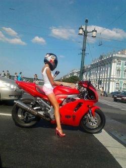 Biker-Babes:  Biker-Queens:  Biker Queen   .