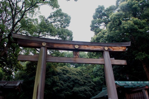 Tori gate at Meiji shrine, Tokyo, Japan
