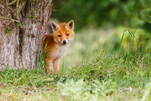 earthlynation:Cutie!