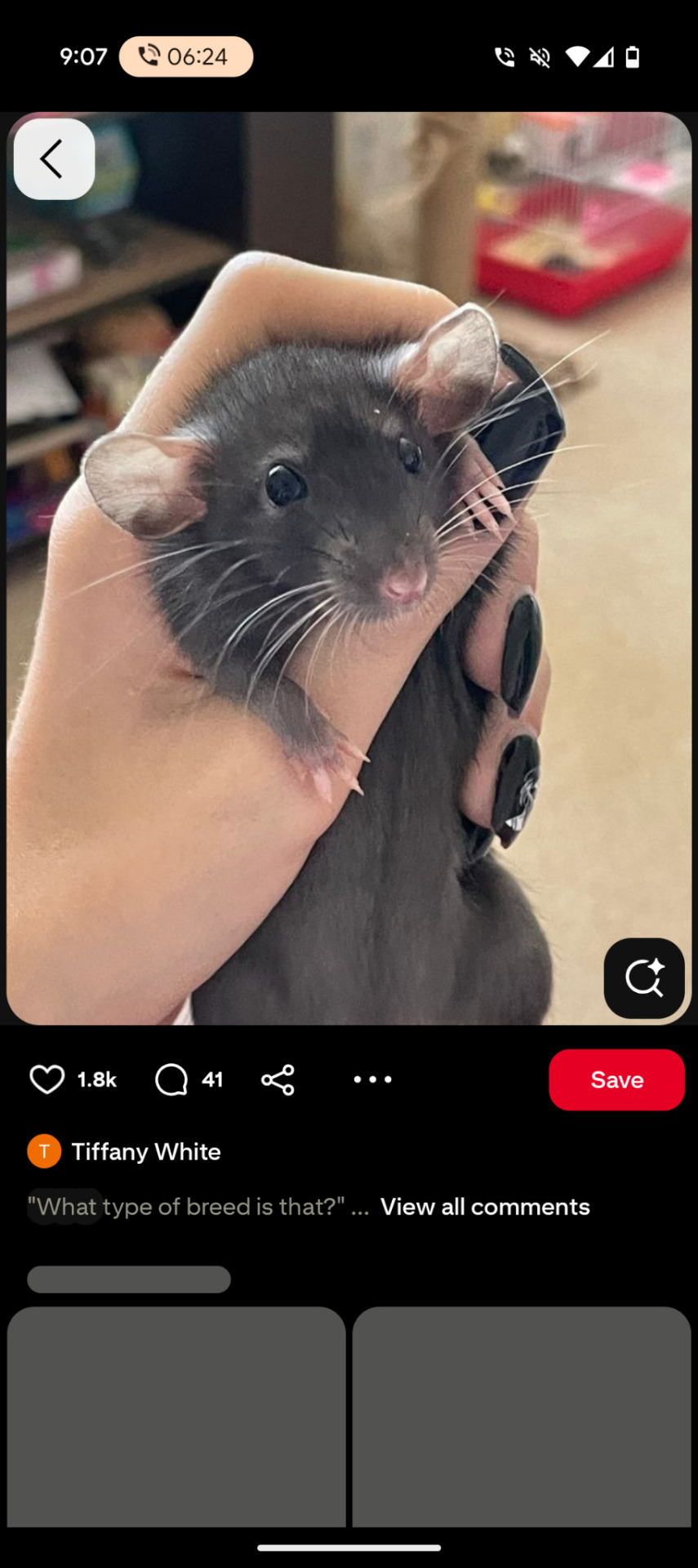 Tumblr media